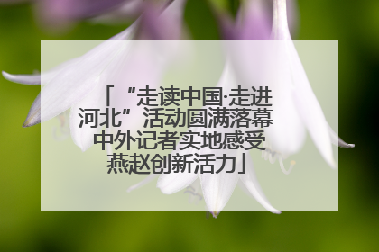 “走读中国·走进河北”活动圆满落幕 中外记者实地感受燕赵创新活力