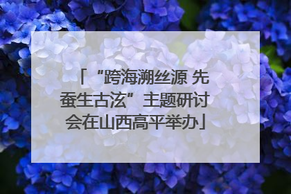 “跨海溯丝源 先蚕生古泫”主题研讨会在山西高平举办
