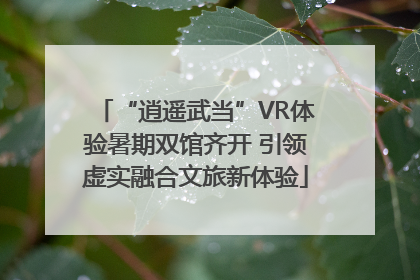 “逍遥武当”VR体验暑期双馆齐开 引领虚实融合文旅新体验