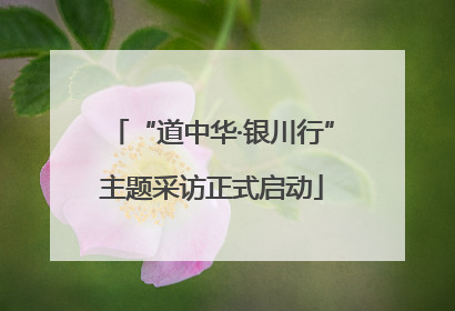 “道中华·银川行”主题采访正式启动