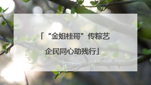 “金姐桂哥”传粽艺 企民同心助残行