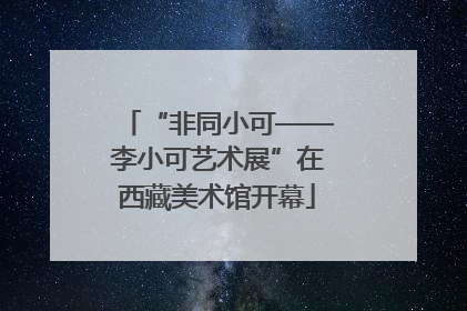 “非同小可——李小可艺术展”在西藏美术馆开幕