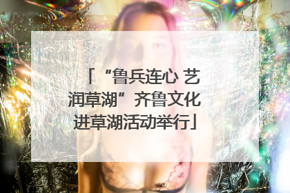 “鲁兵连心 艺润草湖”齐鲁文化进草湖活动举行
