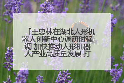 王忠林在湖北人形机器人创新中心调研时强调 加快推动人形机器人产业高质量发展 打造具有全国影响力的研发创新基地