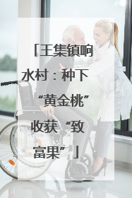 王集镇响水村：种下“黄金桃” 收获“致富果”