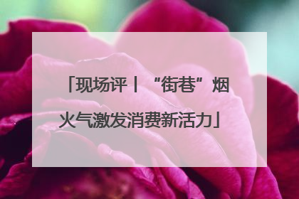 现场评丨“街巷”烟火气激发消费新活力