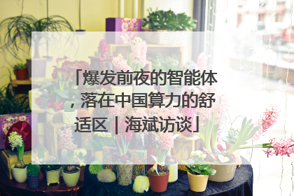 爆发前夜的智能体，落在中国算力的舒适区｜海斌访谈