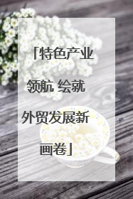 特色产业领航 绘就外贸发展新画卷