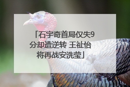 石宇奇首局仅失9分却遭逆转 王祉怡将再战安洗莹