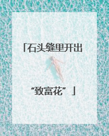 石头缝里开出“致富花”