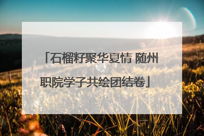 石榴籽聚华夏情 随州职院学子共绘团结卷