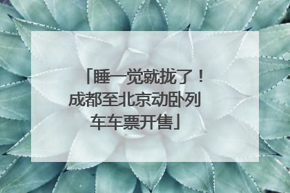 睡一觉就拢了！成都至北京动卧列车车票开售