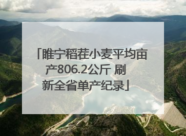 睢宁稻茬小麦平均亩产806.2公斤 刷新全省单产纪录