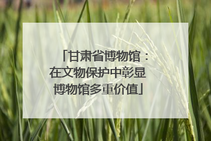 甘肃省博物馆：在文物保护中彰显博物馆多重价值