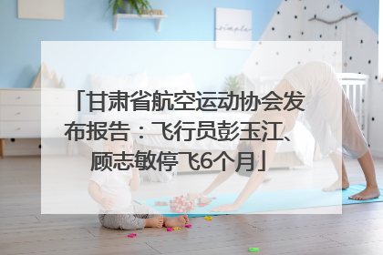 甘肃省航空运动协会发布报告：飞行员彭玉江、顾志敏停飞6个月