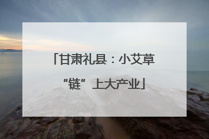 甘肃礼县：小艾草“链”上大产业