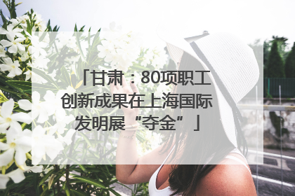 甘肃：80项职工创新成果在上海国际发明展“夺金”