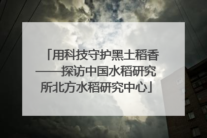 用科技守护黑土稻香——探访中国水稻研究所北方水稻研究中心