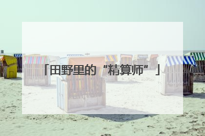 田野里的“精算师”