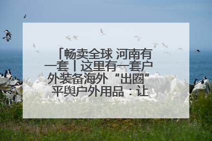 畅卖全球 河南有一套丨这里有一套户外装备海外“出圈” 平舆户外用品：让“休闲风”长红