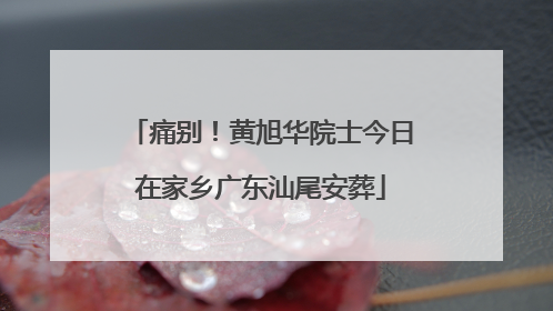 痛别！黄旭华院士今日在家乡广东汕尾安葬