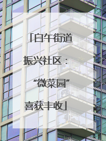 白午街道振兴社区：“微菜园”喜获丰收