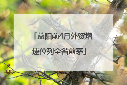 益阳前4月外贸增速位列全省前茅