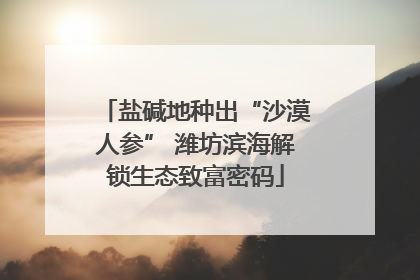 盐碱地种出“沙漠人参” 潍坊滨海解锁生态致富密码