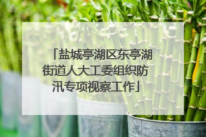 盐城亭湖区东亭湖街道人大工委组织防汛专项视察工作