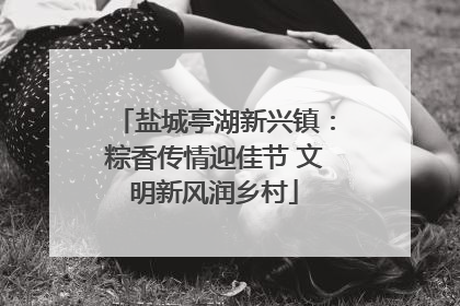 盐城亭湖新兴镇：粽香传情迎佳节 文明新风润乡村