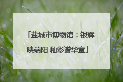 盐城市博物馆：银辉映端阳 釉彩谱华章