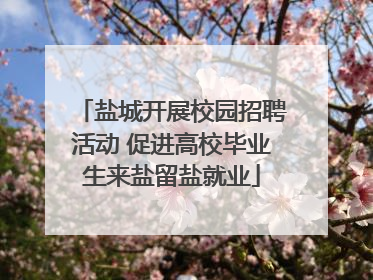 盐城开展校园招聘活动 促进高校毕业生来盐留盐就业