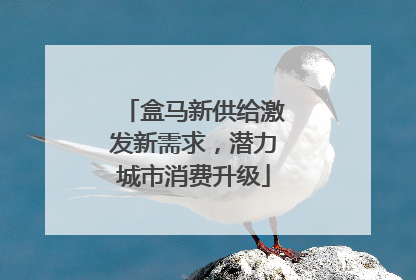 盒马新供给激发新需求，潜力城市消费升级