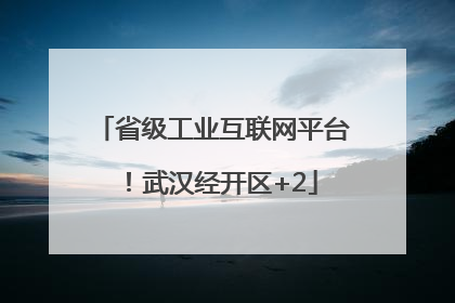 省级工业互联网平台！武汉经开区+2