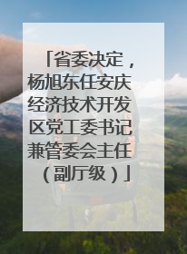 省委决定，杨旭东任安庆经济技术开发区党工委书记兼管委会主任（副厅级）