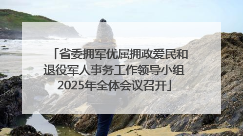 省委拥军优属拥政爱民和退役军人事务工作领导小组2025年全体会议召开