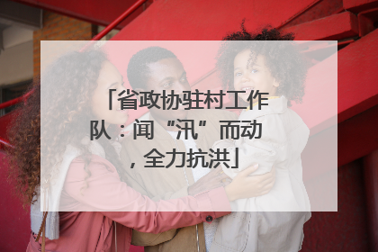省政协驻村工作队：闻“汛”而动，全力抗洪