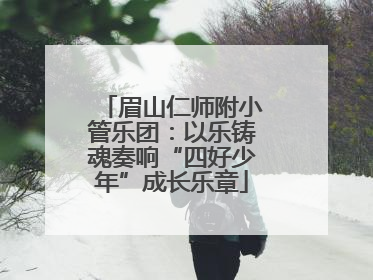 眉山仁师附小管乐团：以乐铸魂奏响“四好少年”成长乐章