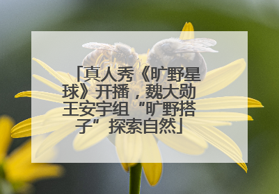 真人秀《旷野星球》开播，魏大勋王安宇组“旷野搭子”探索自然