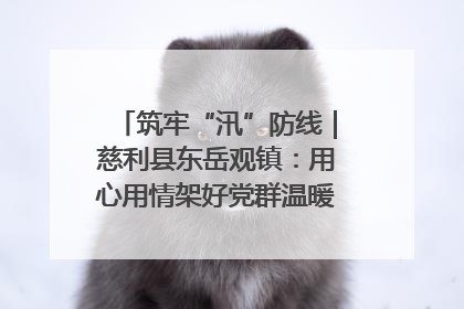 筑牢“汛”防线｜慈利县东岳观镇：用心用情架好党群温暖悠长的“连心桥”