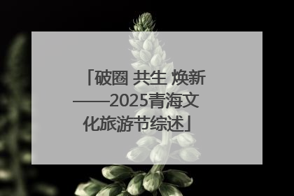 破圈 共生 焕新——2025青海文化旅游节综述