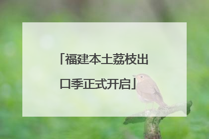 福建本土荔枝出口季正式开启