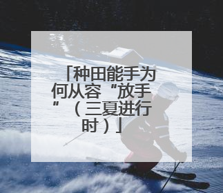 种田能手为何从容“放手”（三夏进行时）