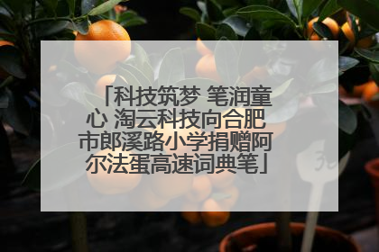 科技筑梦 笔润童心 淘云科技向合肥市郎溪路小学捐赠阿尔法蛋高速词典笔