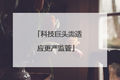 科技巨头需适应更严监管