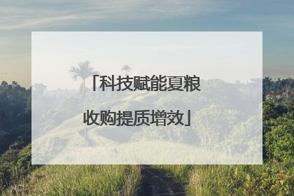 科技赋能夏粮收购提质增效