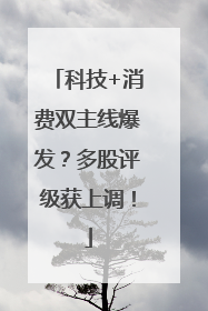 科技+消费双主线爆发？多股评级获上调！