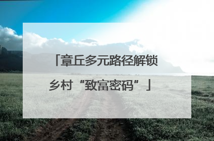 章丘多元路径解锁乡村“致富密码”