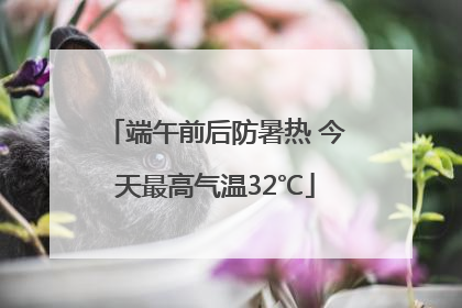 端午前后防暑热 今天最高气温32℃