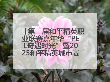 第一届和平精英职业联赛嘉年华“PEL奇遇时光”暨2025和平精英城市赛总决赛盛大启幕